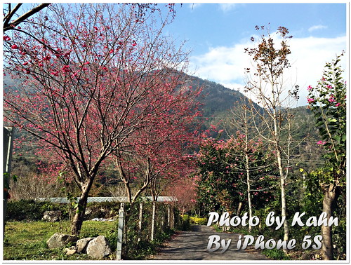 【谷關 &#8211; 松鶴部落】享受山林間的美味 &#8211; 東昌養鱒場（虹鱒、鱘龍魚、賞櫻） @跟澳門仔凱恩去吃喝玩樂