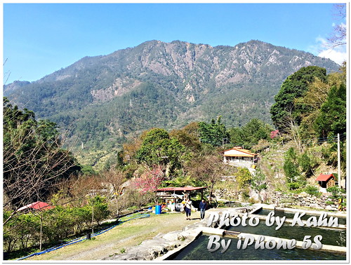 【谷關 &#8211; 松鶴部落】享受山林間的美味 &#8211; 東昌養鱒場（虹鱒、鱘龍魚、賞櫻） @跟澳門仔凱恩去吃喝玩樂