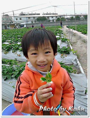 【台中潭子】週日親子好去處 &#8211; 草莓世界 採果教學農場 @跟澳門仔凱恩去吃喝玩樂