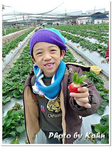 【台中潭子】週日親子好去處 &#8211; 草莓世界 採果教學農場 @跟澳門仔凱恩去吃喝玩樂