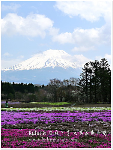 【日本•新宿-大月-河口湖】輕鬆來回富士山 &#8211; 富士急行線 フジサン特急號（展望車 網路預訂攻略及步驟） @跟澳門仔凱恩去吃喝玩樂