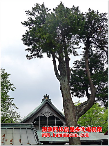 【日本•埼玉•川越】川越大師和三大羅漢的名寺 &#8211; 喜多院（五百羅漢） @跟澳門仔凱恩去吃喝玩樂